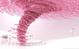 Pink Color Desktop Wallpapers