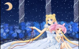 Sailor Moon Widescreen