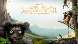 Island of Lemurs Madagascar (2014)