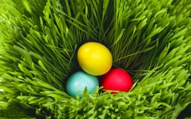 Easter 2014 Backgrounds