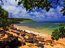 Beach Shade Hawaii