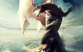 Amaing Dragon