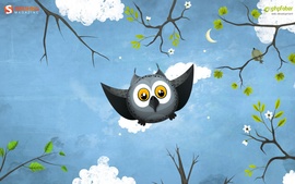 May Owl Flight