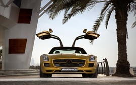 2010 Mercedes Benz Sls Amg Desert Gold