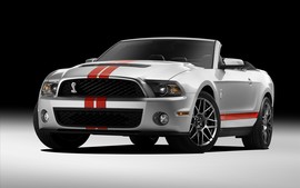 2011 Ford Shelby Gt500 Wallpaper