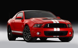 2011 Ford Shelby Gt500