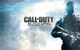 2013 Call Of Duty Black Ops