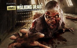 2013 The Walking Dead Season