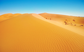 African Desert