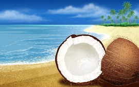 CoconutsWide