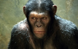 Rise Of The Planet Of The Apes Movie