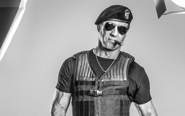 Sylvester Stallone In The Expendables