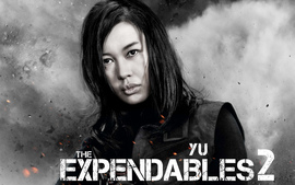 Yu Nan In The Expendables