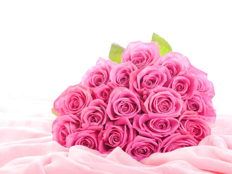Pink Roses Desktop Backgrounds