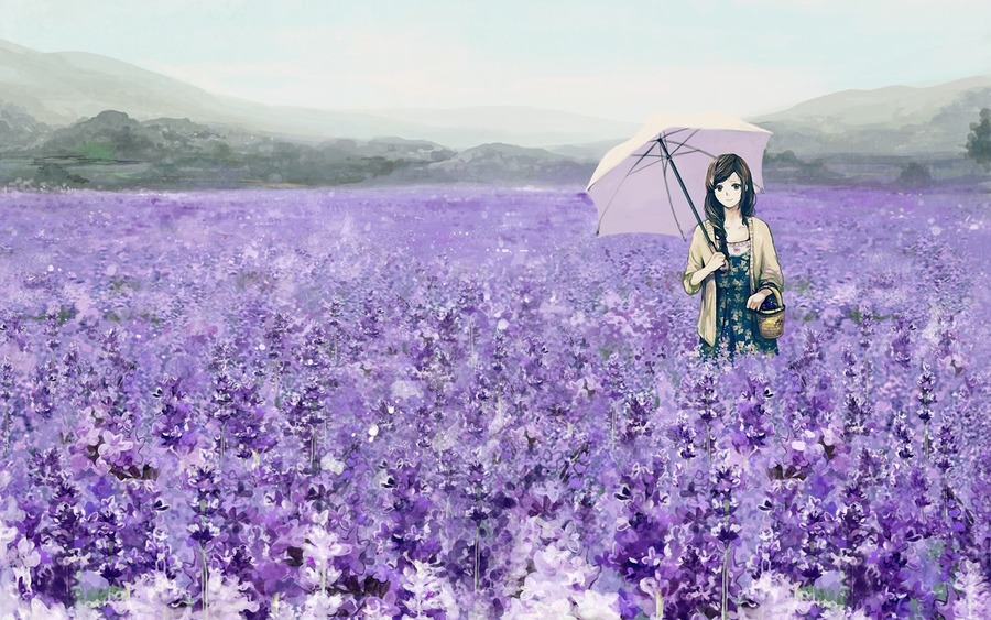 Lavenders Field