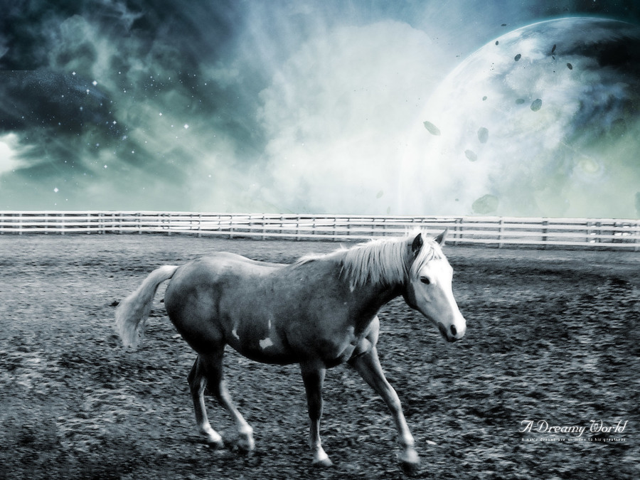 Dreamy Horse World