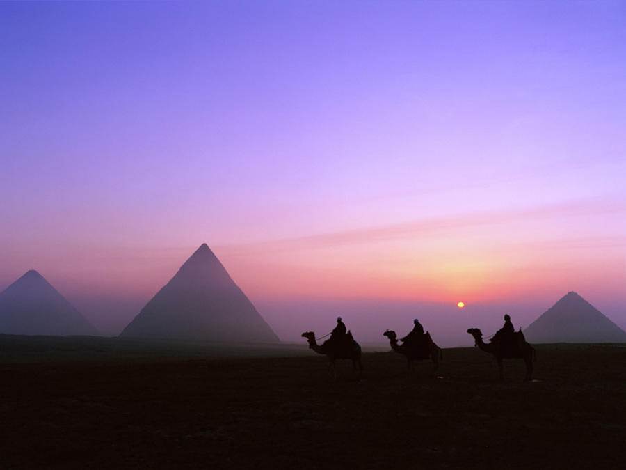 Egypt Nights