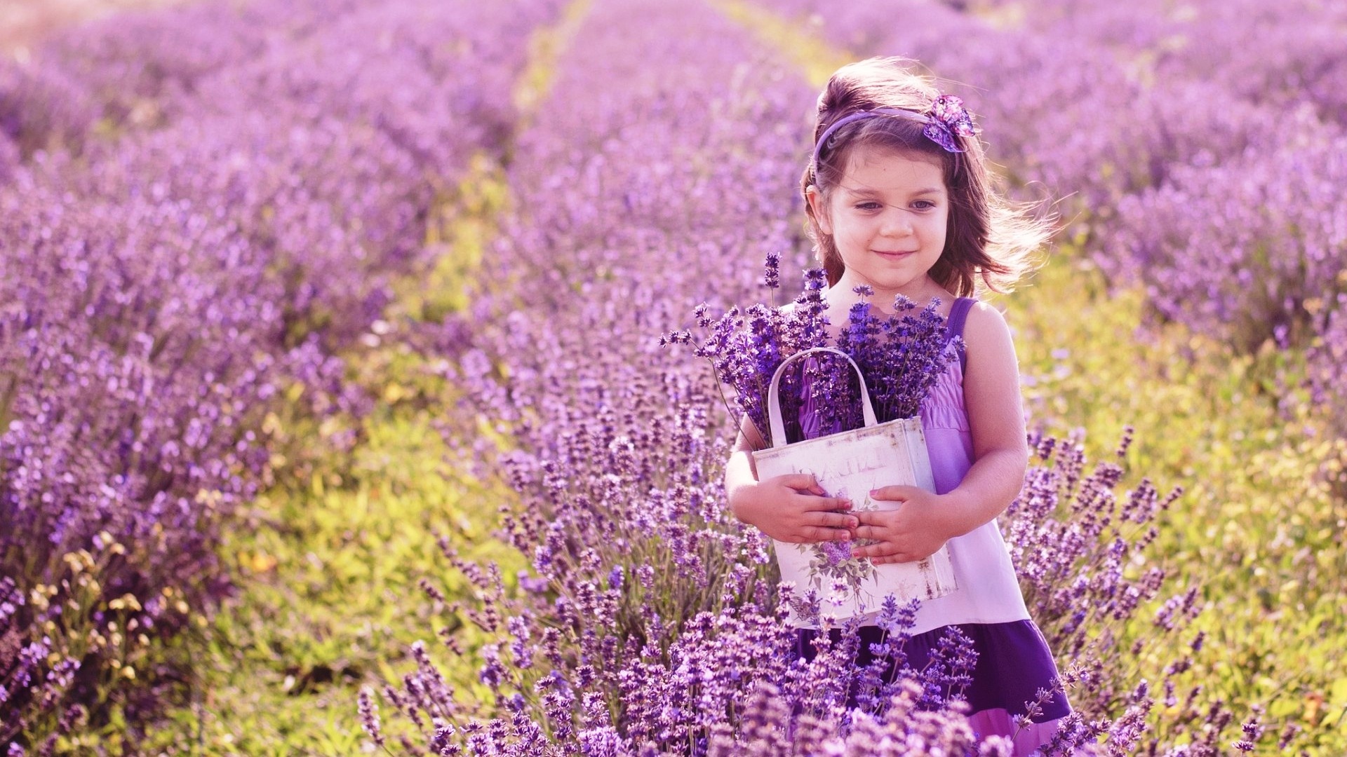 Lavender Flowers Background - Wallpaper, High Definition, High Quality,  Widescreen