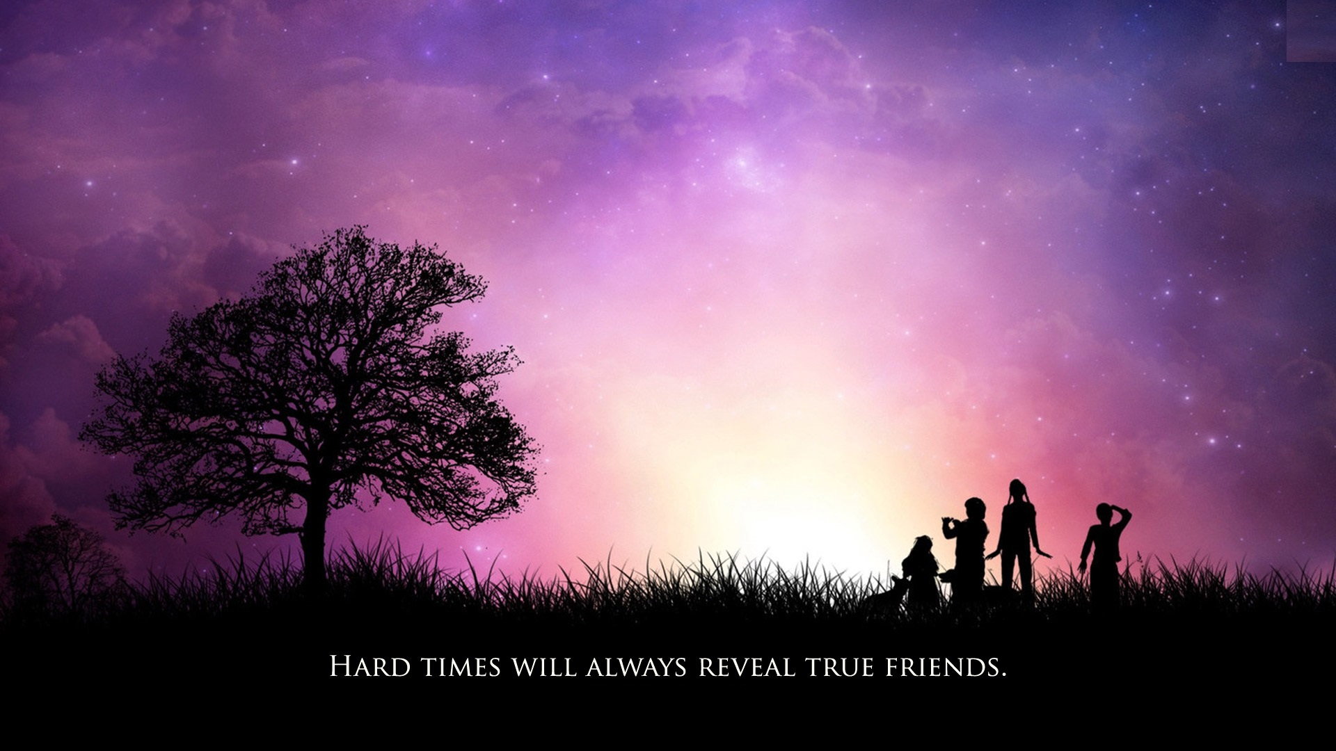 Friendship Quotes HD - Wallpaper, High Definition, High Quality, Widescreen